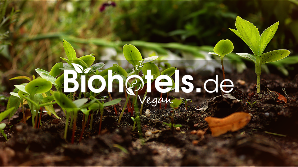 Vegan organic hotels