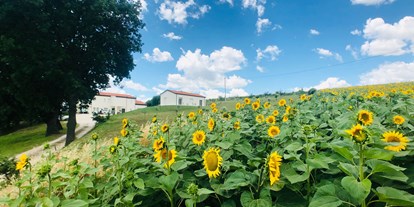 Naturhotel - Energiesparmaßnahmen - Italien - Sunflower around our home - RITORNO ALLA NATURA