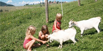 Naturhotel - Kinderbetreuung - Tiere streicheln beim Bio-Urlaub auf dem Bauernhof - Bio-Bauernhof Petschnighof