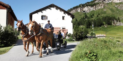 Naturhotel - Umgebungsschwerpunkt: Berg - Schweiz - Kutschenfahrt ist Fextal - Chesa Pool