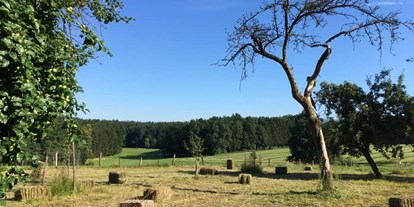 Naturhotel - Bio-Hotel Merkmale: Ökologisch sanierter Altbau - Österreich - Kellerstöckl am veganen Bio-Lebenshof "Varm - die vegane Farm"