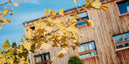Naturhotel - Bio-Hotel Merkmale: Ökologische Architektur - Gamlitz - 3 neue Lärchen-Holz und Lehmgebäude (von Rubens Holzbau, Südtirol), in denen die kleinste Zimmereinheit, die Klausen, sich befinden.   - TamanGa Lebensgarten