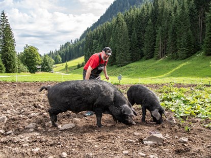 Naturhotel - Umgebungsschwerpunkt: Wald - Österreich - Jeremias Riezler und seine kleine Alpschwein Zucht - Biohotel Walserstuba