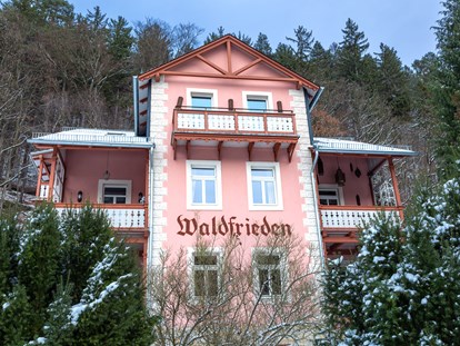 Naturhotel - Allergiker-Zimmer - Sächsische Schweiz - Bio-BoutiqueHotel Villa Waldfrieden