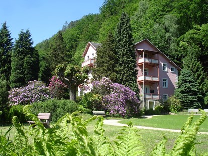 Naturhotel - Bio-Hotel Merkmale: Metallfreie Betten - Struppen - Bio-BoutiqueHotel Villa Waldfrieden