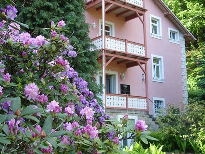 Naturhotel - Bio-Hotel Merkmale: Bio-Garten - Sächsische Schweiz - Bio-BoutiqueHotel Villa Waldfrieden