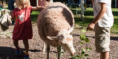 Naturhotel - Hoteltyp: BIO-Bauernhof - Schweden - Freilaufende Tiere und zauberhafte Natur. - Lilla Sverigebyn