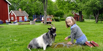 Naturhotel - Schweden - Kind füttert eine Ziege. - Lilla Sverigebyn