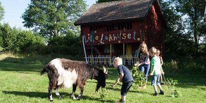 Naturhotel - Vimmerby - Kinder mit einer Ziege. - Lilla Sverigebyn