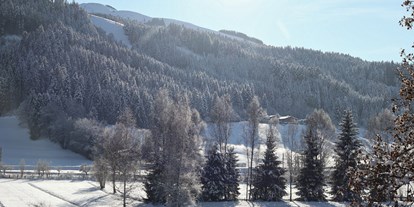 Naturhotel - Verpflegung: Halbpension - Österreich - Ausblick aus unserem Zimmer - Bruggerhof – Camping, Restaurant, Hotel