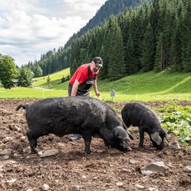 Biohotel: Jeremias Riezler und seine kleine Alpschwein Zucht - Biohotel Walserstuba