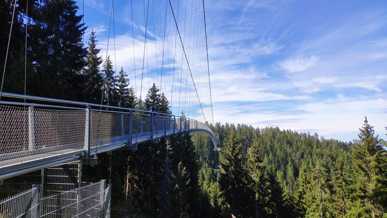 Bad Wildbad im Schwarzwald - Ein nachhaltiges Ausflugsziel für die ganze Familie - Biohotels.de
