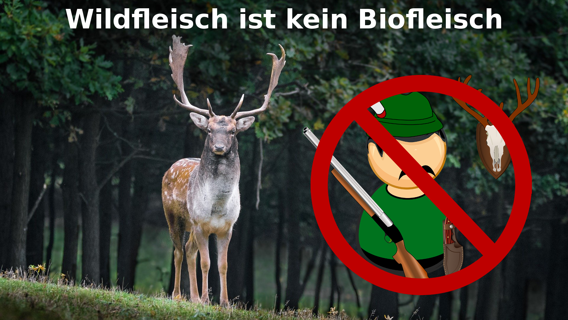 Wildfleisch ist kein Biofleisch - Biohotels.de