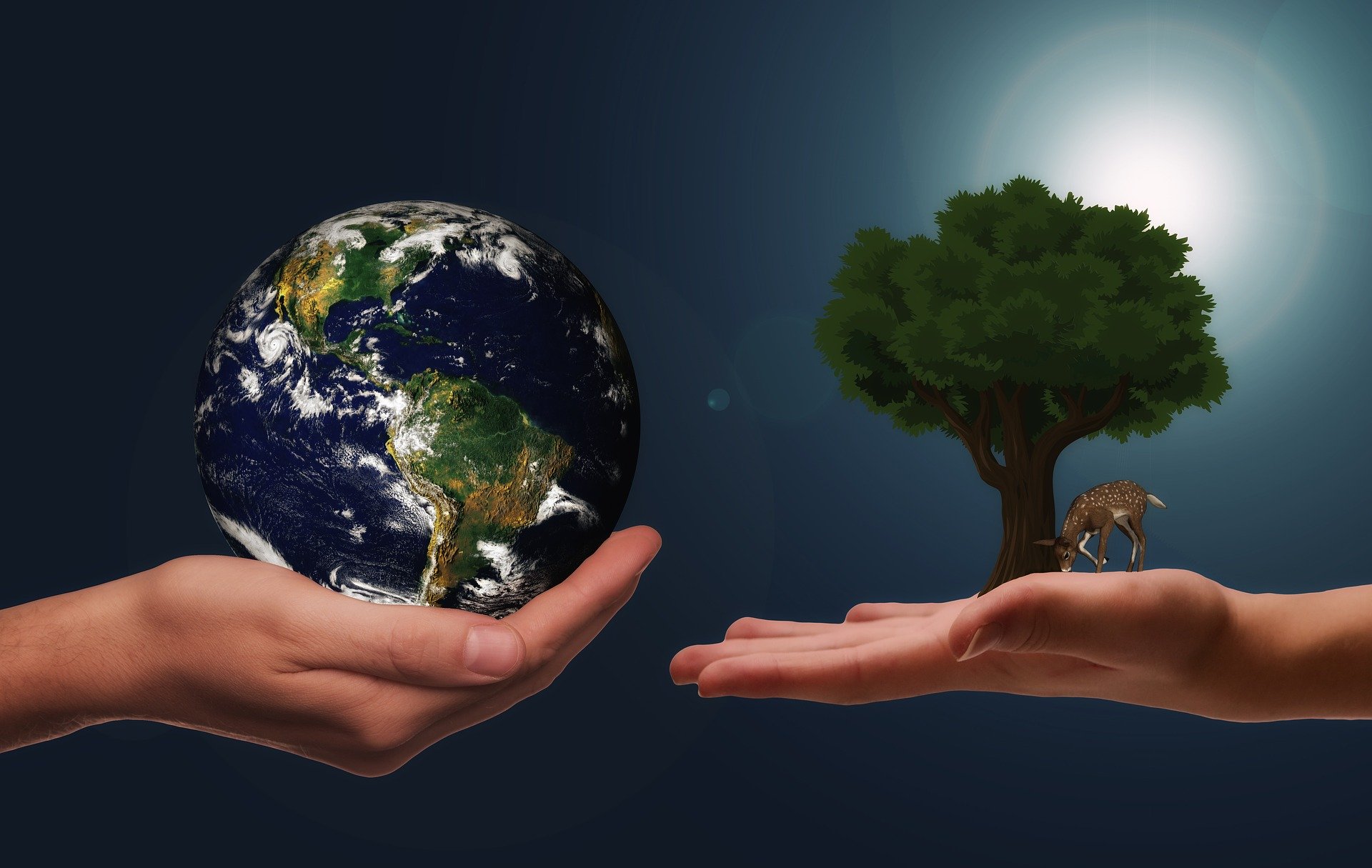 Klimaschutz: Grün und vegan sind die Zauberworte - Biohotels.de