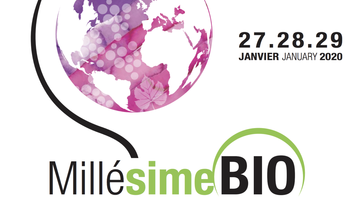 Biowein-Konsum steigt weltweit - Ab 2021 überholt Frankreich Deutschland beim Verbrauch von Bioweinen - Biohotels.de
