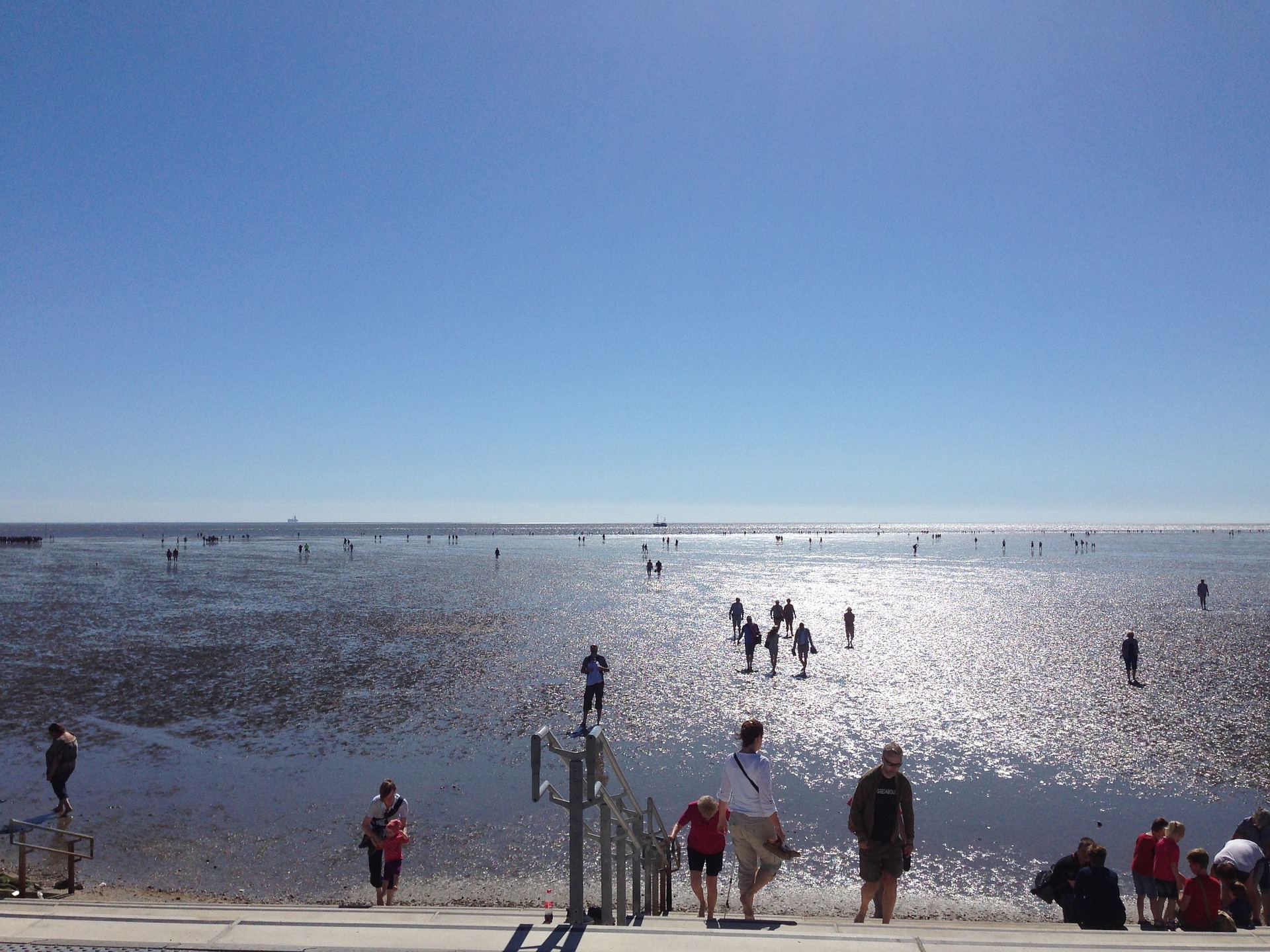 North Sea nature experience - organic holiday on the Wadden Sea in Büsum - Biohotels.de