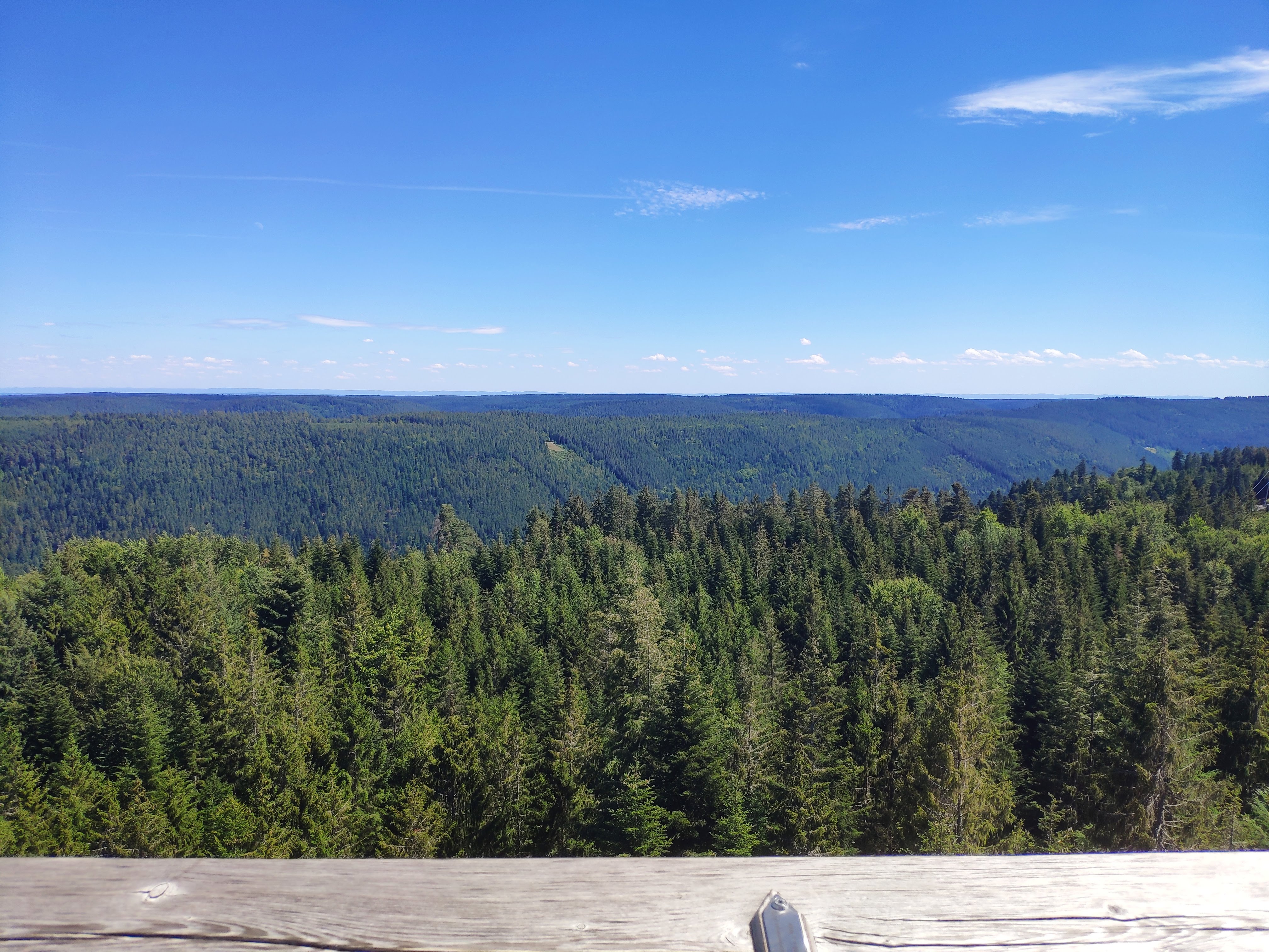 Blick vom Aussichtsturm