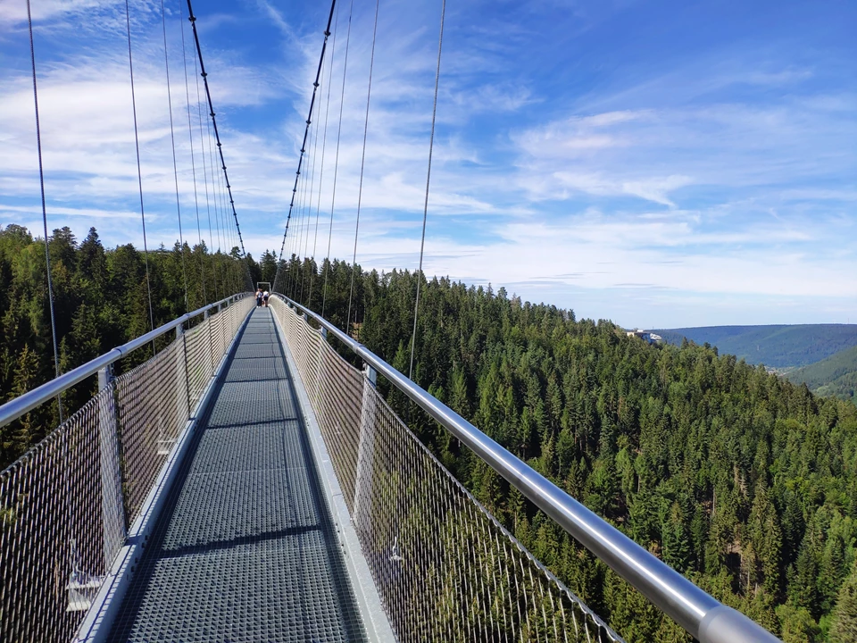 Suspension bridge with a view of the Enztal