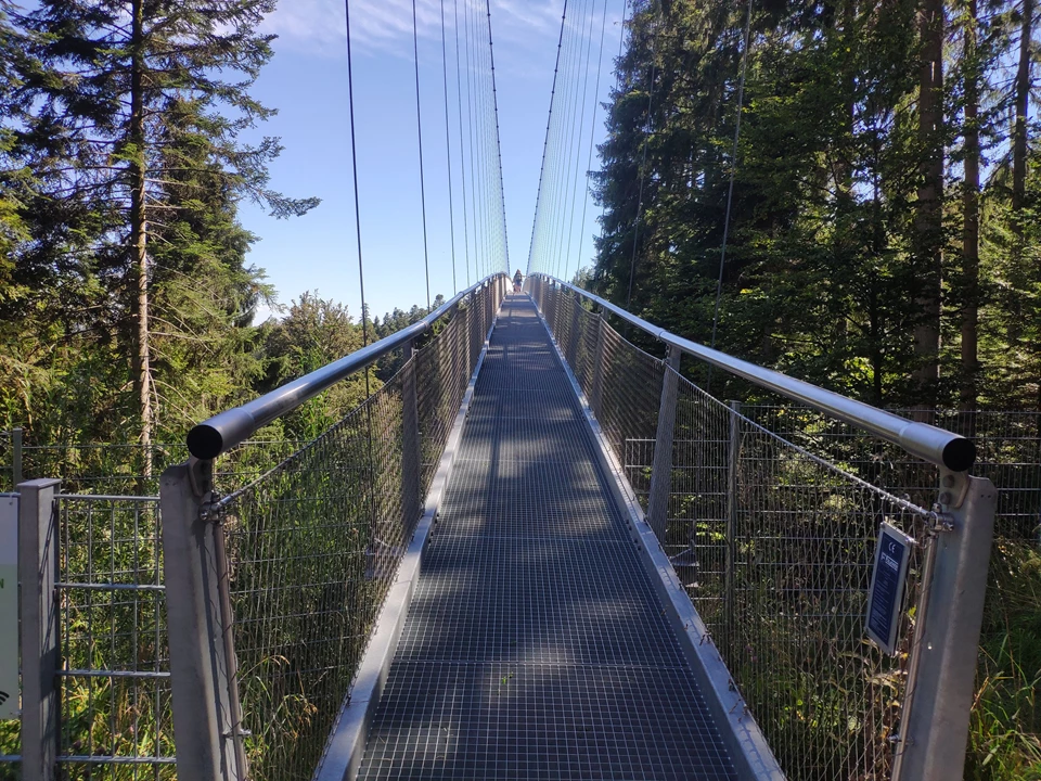 Wildline suspension bridge