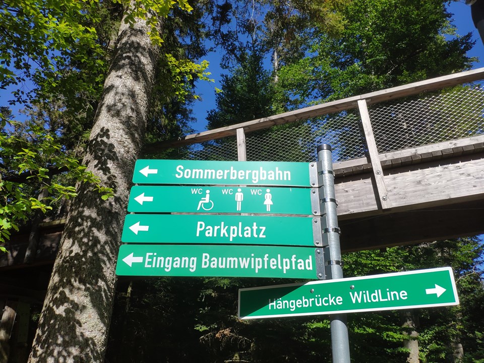 Parkplatz Baumwipfelpfad und Hängebrücke