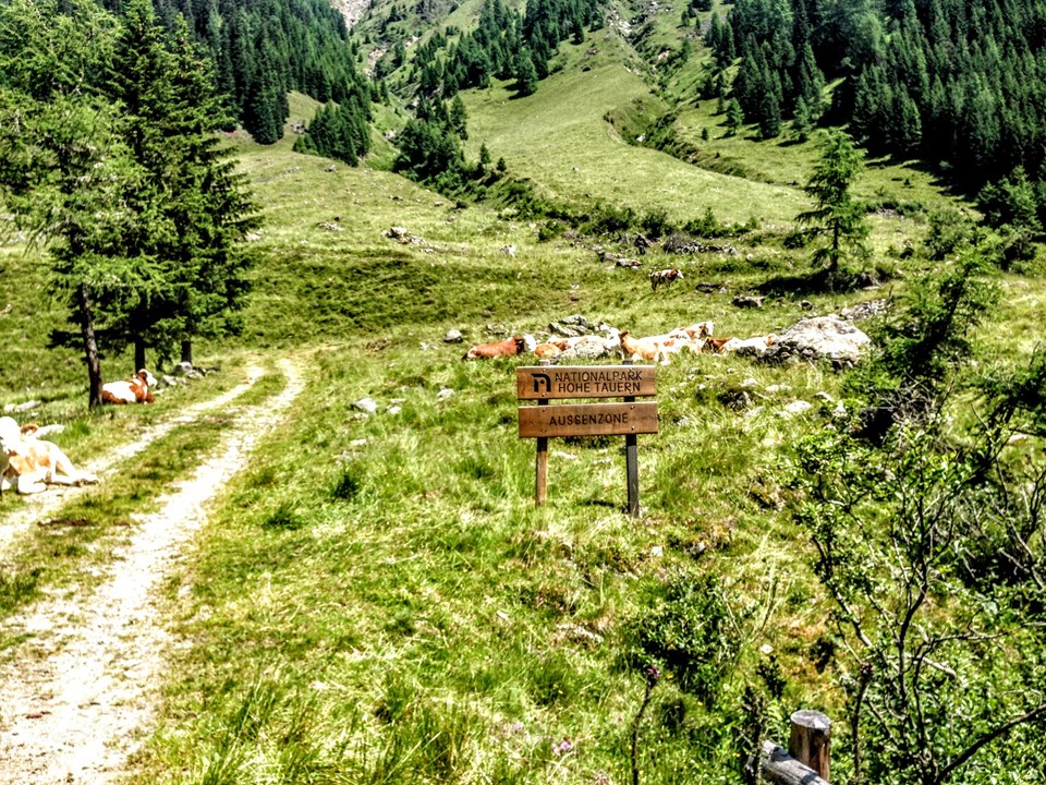 Bio-Urlaub Osttirol