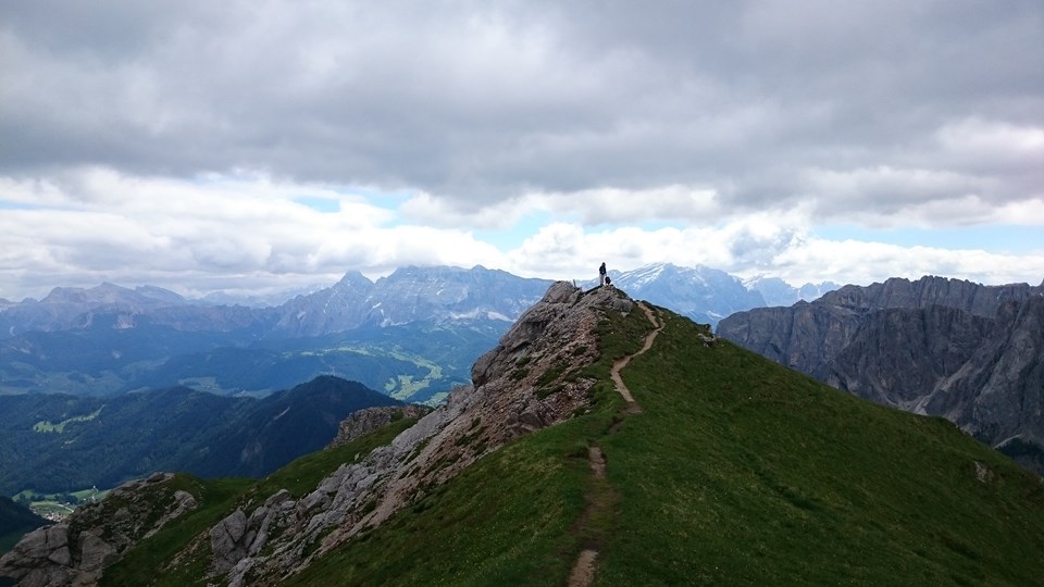 Bio-Urlaub mit Hund Südtirol
