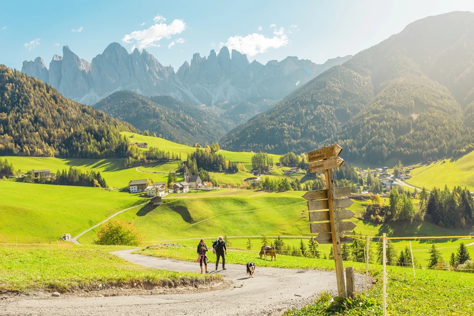 Organic hiking holiday in Bolzano with your dog