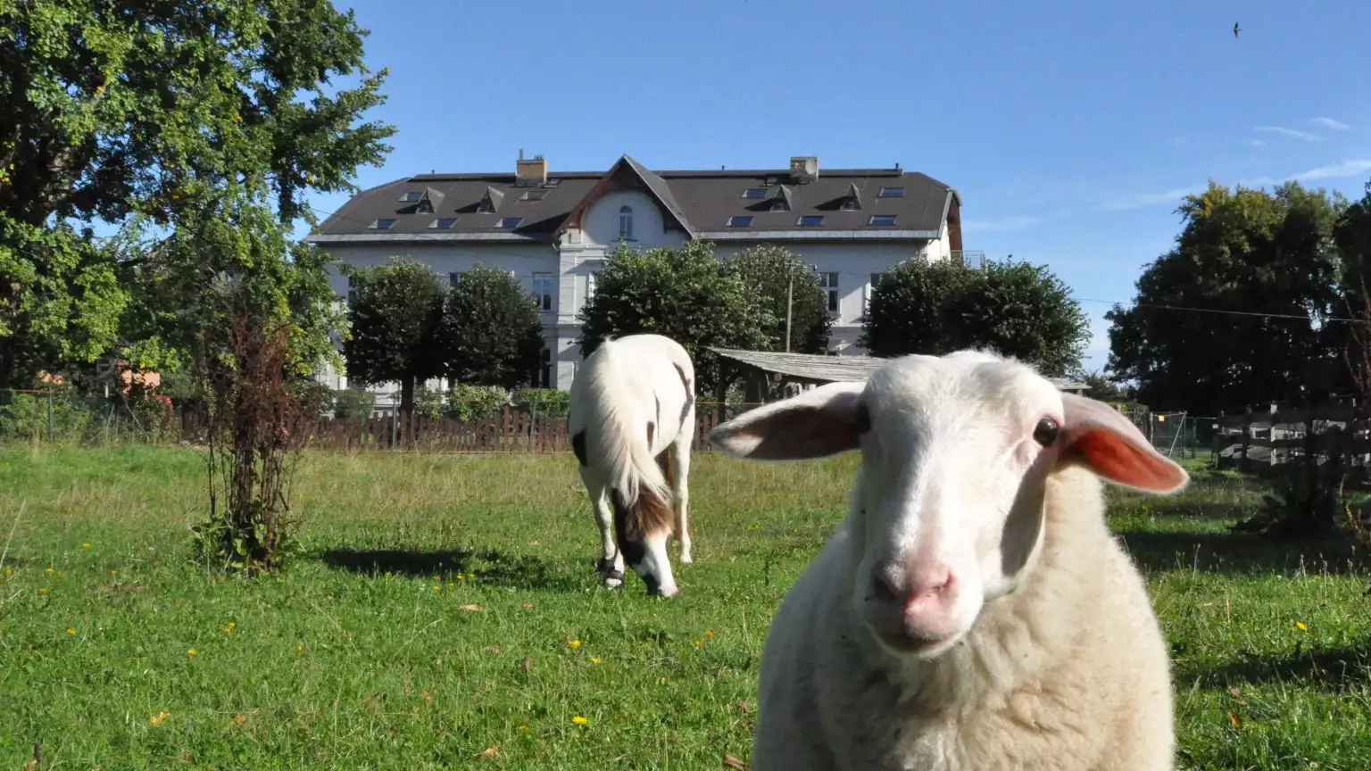 Biohotel Gut Nisdorf