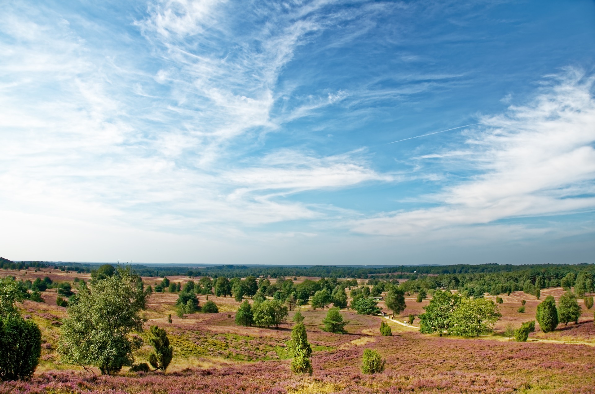 Biohotels Lüneburg Heath
