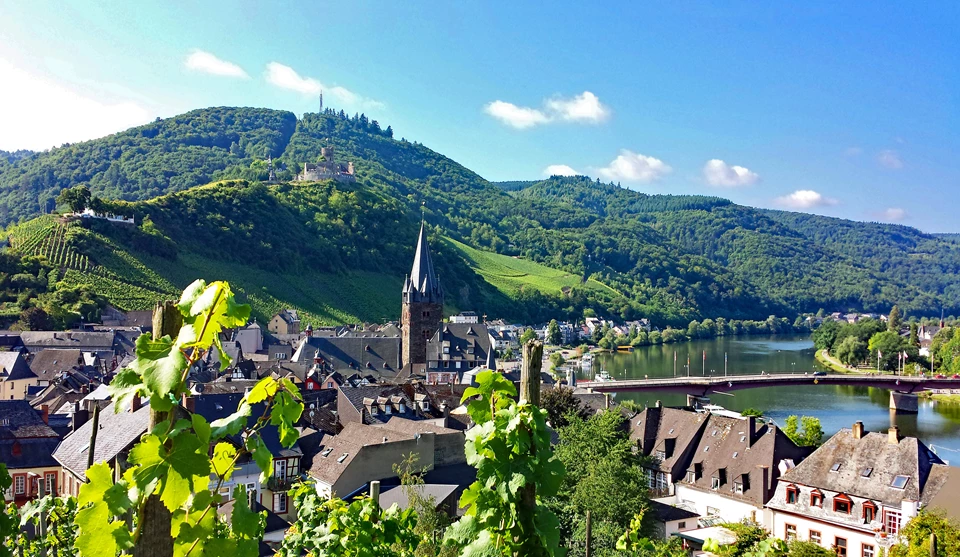 Organic vacation in the organic hotel on the Moselle in Bernkastel-Kues
