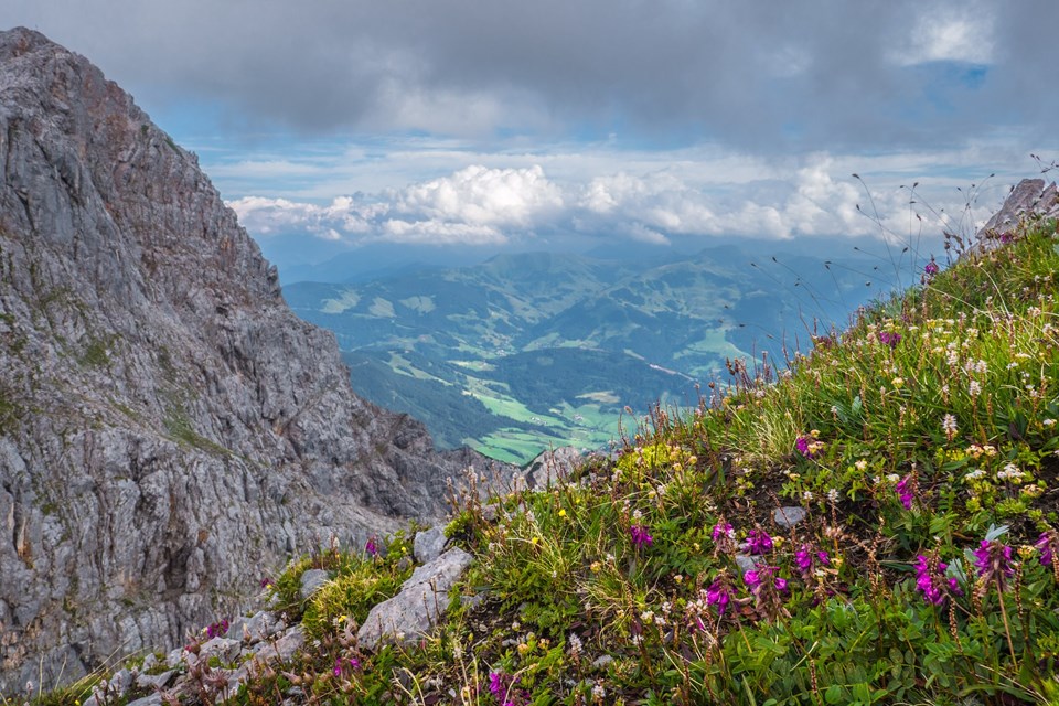Biourlaub im Salzburger Land
