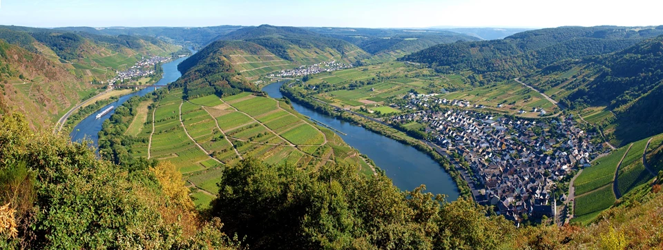 Die Mosel und Weinberge