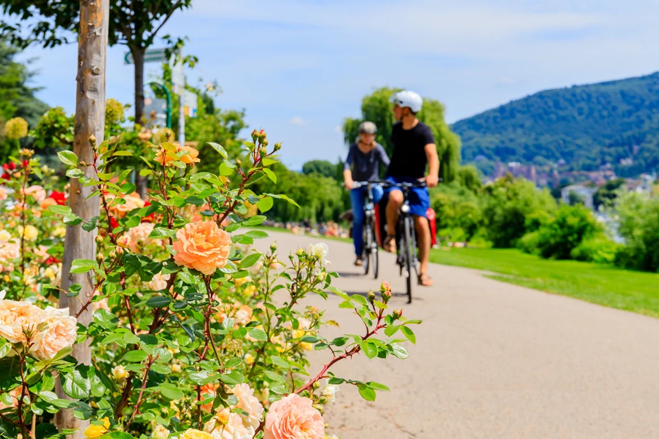 Cycling from Heidelberg to Darmstadt