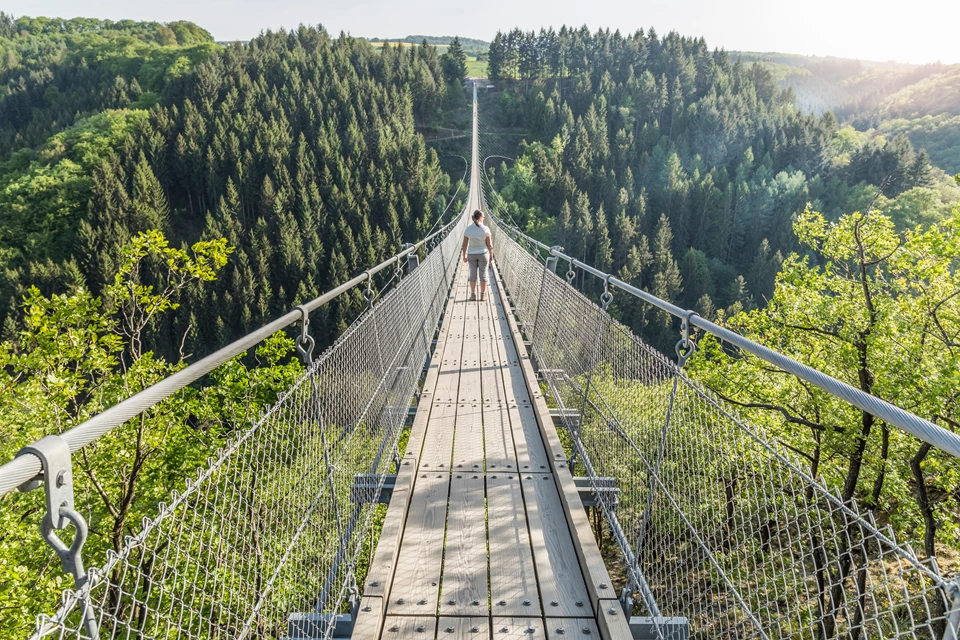 Saar-Hunsrück-Steig - Geierlay Bridge