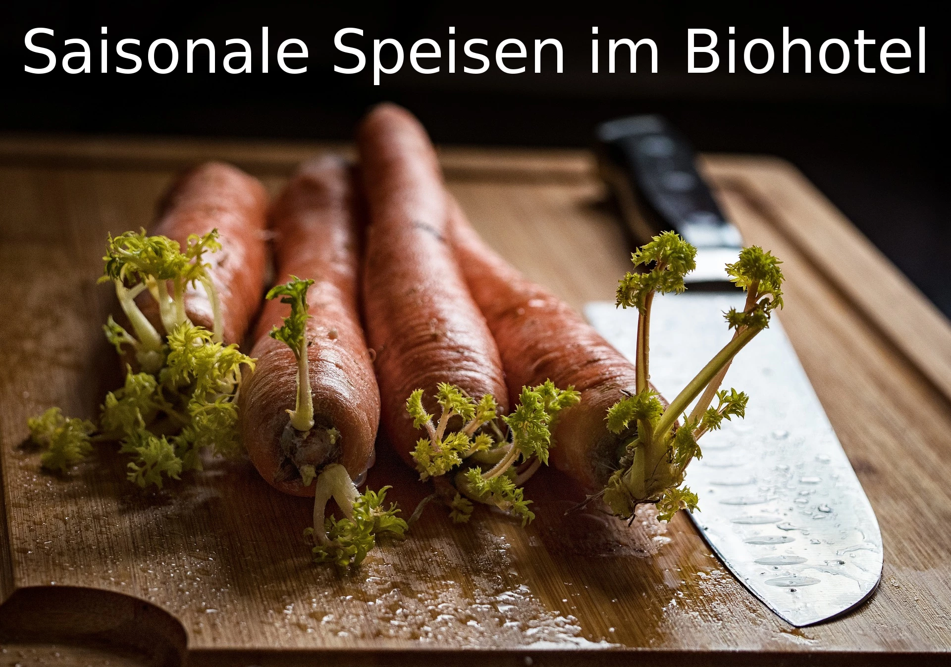 Saisonale Speisen im Biohotel