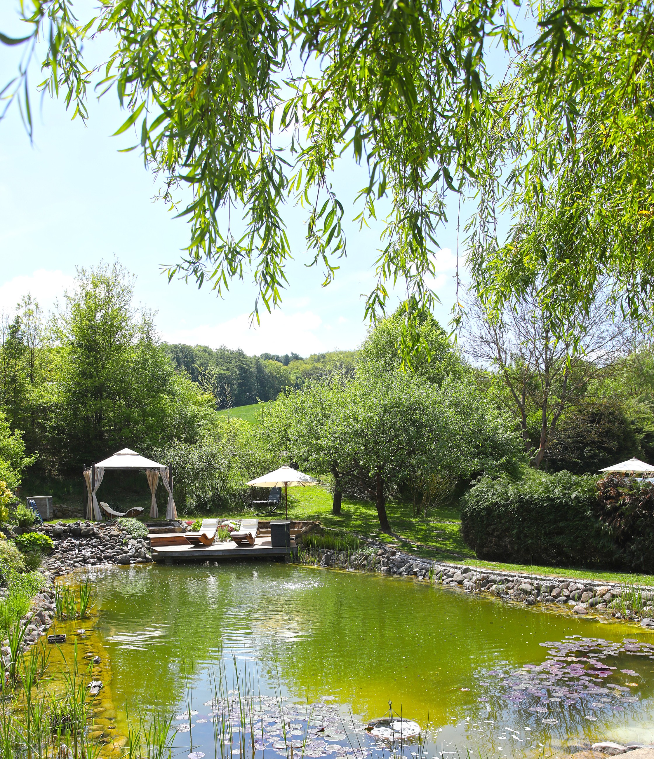 Spätsommerglück im Bio Naturidyll Wiesengrund  - BIO-NATURIDYLL WIESENGRUND