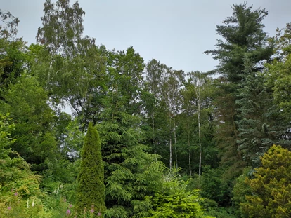 Naturhotel - Umgebungsschwerpunkt: Wald - Großnaundorf - Ein Ausblick aus der "Ringelblume". - BIO-NATURIDYLL WIESENGRUND