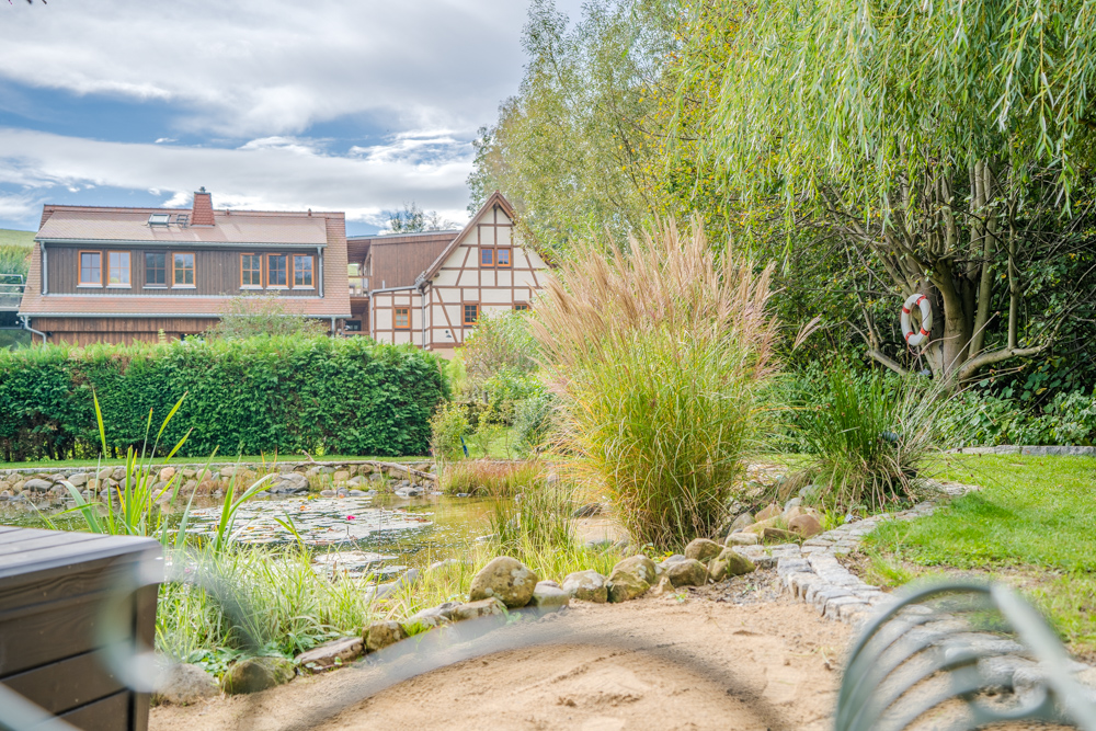 Naturhotel: Der Blick vom Natur Teich in Richtung Apartmenthaus und Rosenscheune. - BIO-NATURIDYLL WIESENGRUND