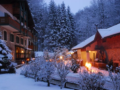 Naturhotel - Preisklasse: €€ - Gewerbegebiet-Salzweg - Hotel im Wald Hammerschmiede - Winter im Wald - Hotel Naturidyll Hammerschmiede 
