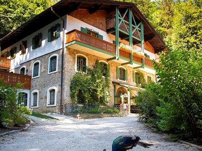 Nature hotel - Rezeption: 15 h - Anning bei Sankt Georgen, Chiemgau - Hotel im Wald Hammerschmiede - Hotel Naturidyll Hammerschmiede 