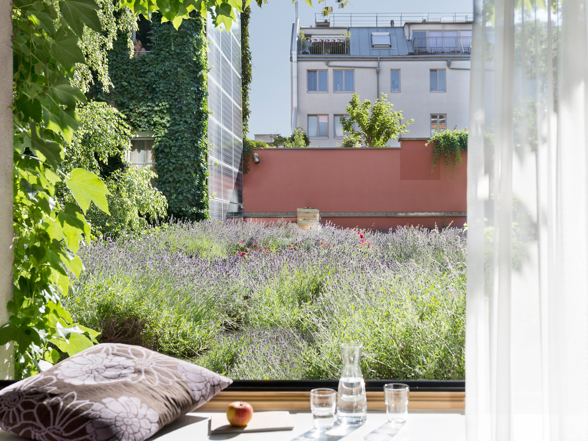 Organic hotel - Komfortzimmer mit Blick auf Lavendeldach - Boutiquehotel Stadthalle