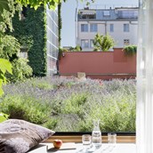 Organic hotel - Komfortzimmer mit Blick auf Lavendeldach - Boutiquehotel Stadthalle