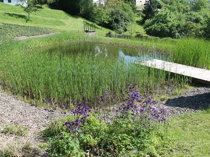 Naturhotel - Aktivurlaub möglich - Lahntal - Naturbadeteich auf der Sonnenwiese direkt am Nationalpark - BELVEDERE-das BIO Hotel garni & SuiteHotel am Edersee