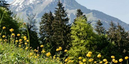 Nature hotel - Switzerland - Natur rund ums ChieneHuus - ChieneHuus