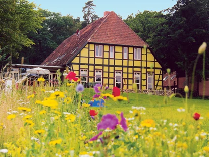 Naturhotel - Allergiker-Zimmer - Dahlem (Landkreis Lüneburg) - BIO-Hotel Kenners LandLust - BIO-Hotel Kenners LandLust