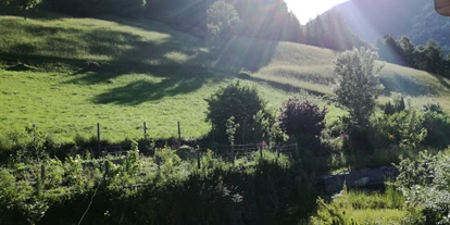Naturhotel - Preisklasse: € - Oberallach (Steinfeld) - Wanderwege führen direkt vom Haus - Veganer Gasthof zum Ederplan