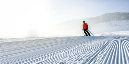 Nature hotel - barrierefrei: Barrierefreies Hotel - Heuberg (Lend) - Skifahren - Naturresort PURADIES