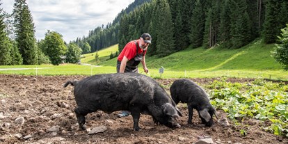 Naturhotel - Mitarbeiterbetreuung: Schulungen/ Ausflüge - Zöblen - Jeremias Riezler und seine kleine Alpschwein Zucht - Biohotel Walserstuba