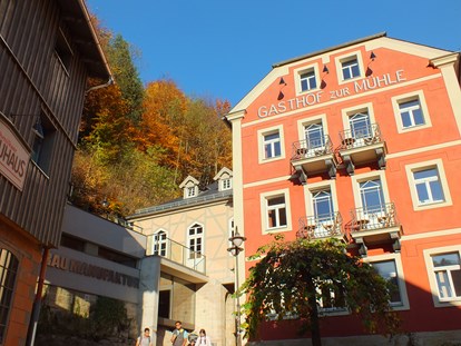 Nature hotel - Auszeichnung / Zertifikat / Partner: Blaue Schwalbe - Sächsische Schweiz - Bio-Hotel Zur Mühle