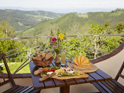 Naturhotel - Bio-Küche: Saisonale Speisen - Hollersberg - Ausblick von der Terrasse - Biolandhaus Arche